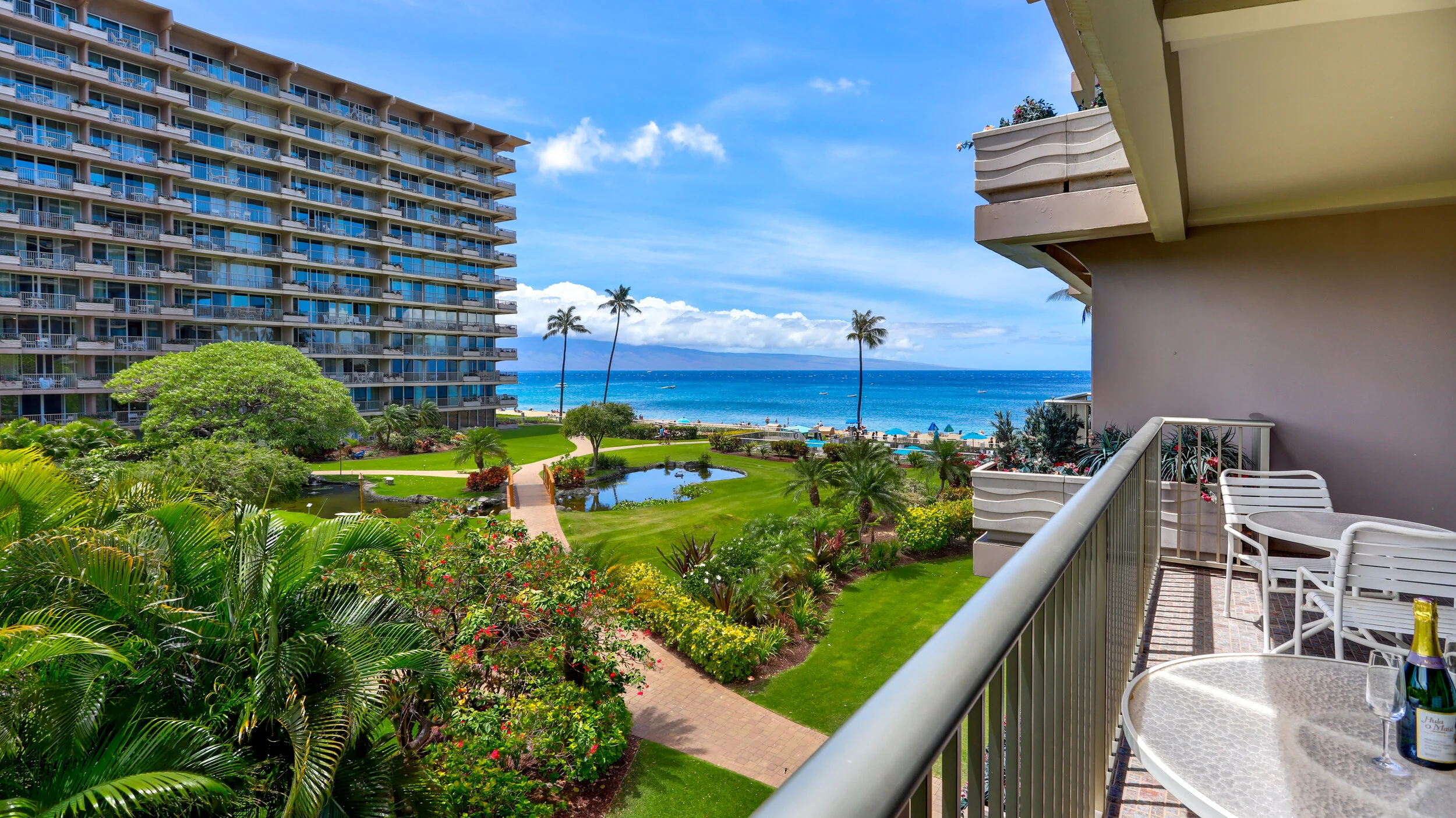 Mauis MO-280 NA(HC付き) Whaler 319 — Maui Westside